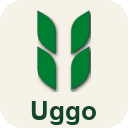 uggo-lint